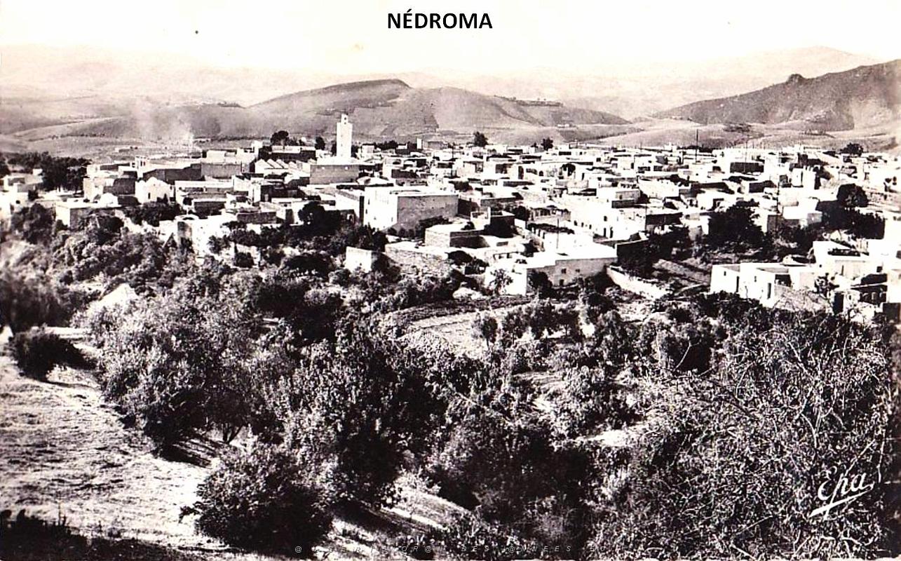 Nedroma - Vue generale.jpg